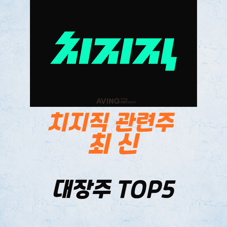치지직 관련주 대장주 테마주 수혜주 TOP5