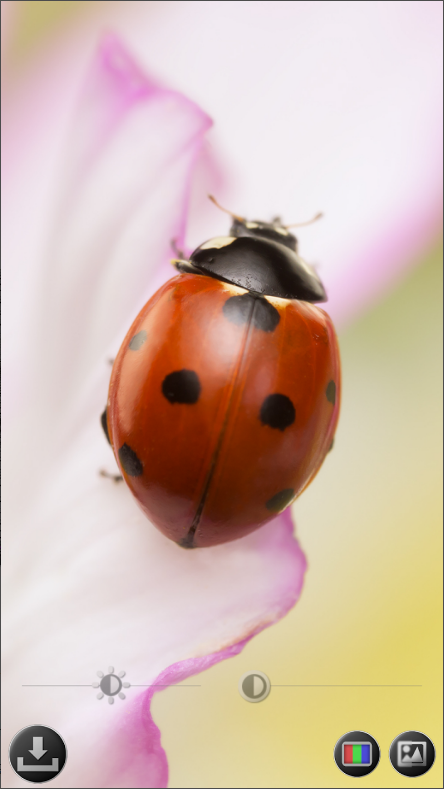 스마트 돋보기 어플, 현미경, 글자 확대해서 크게 보기