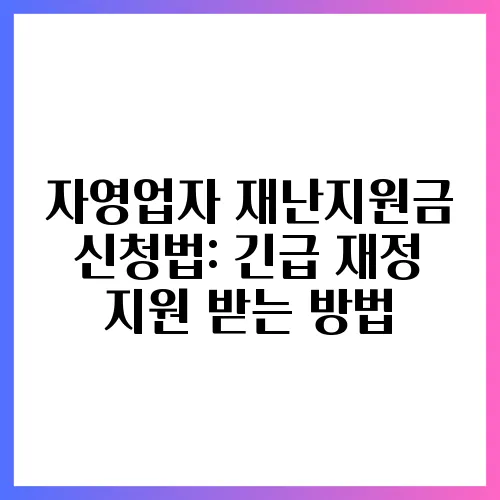 자영업자 재난지원금 신청법: 긴급 재정 지원 받는 방법