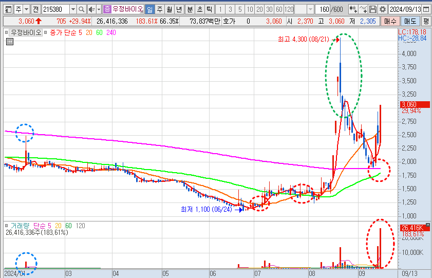 우정바이오 주가 일봉 차트 분석