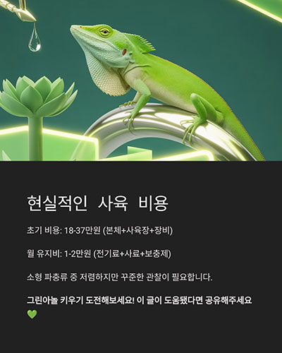 현실적인 비용은?