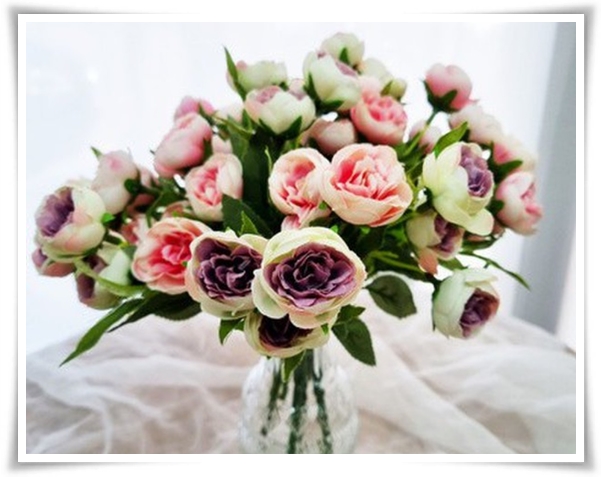 "라넌큘러스" 봄의 로맨스를 담은 매혹적인 매력의 꽃 봄의 요정!