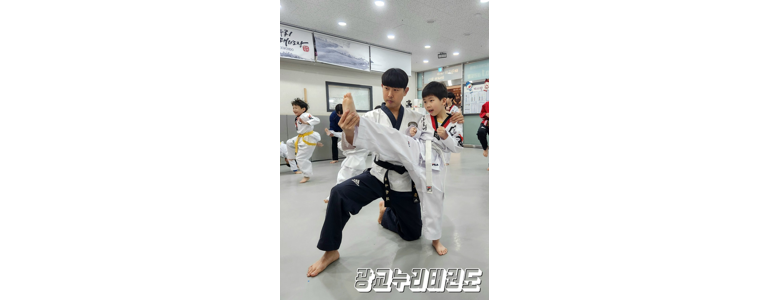 수원 영통구 태권도장