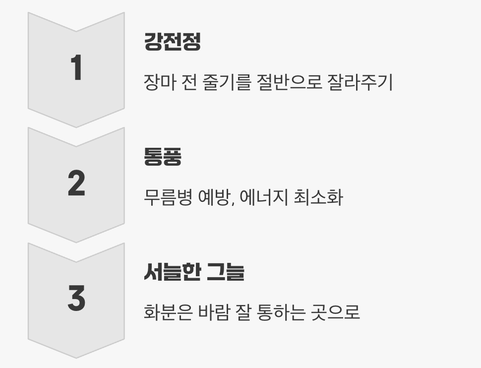 가장 힘든 계절, 여름을 이겨내는 법