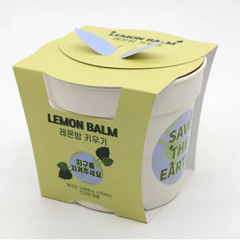 레몬밤 재배 반그늘 배치 화분 재배 잎 차로 활용_6