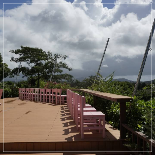 제주도 마노르블랑 핑크뮬리축제 인생사진 찍어봅시다.