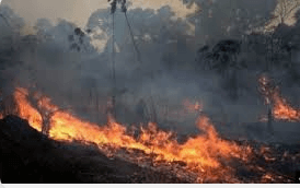 경북 산불피해 재난지원금 100% 받는 법(신청기간, 신청방법, 금액)