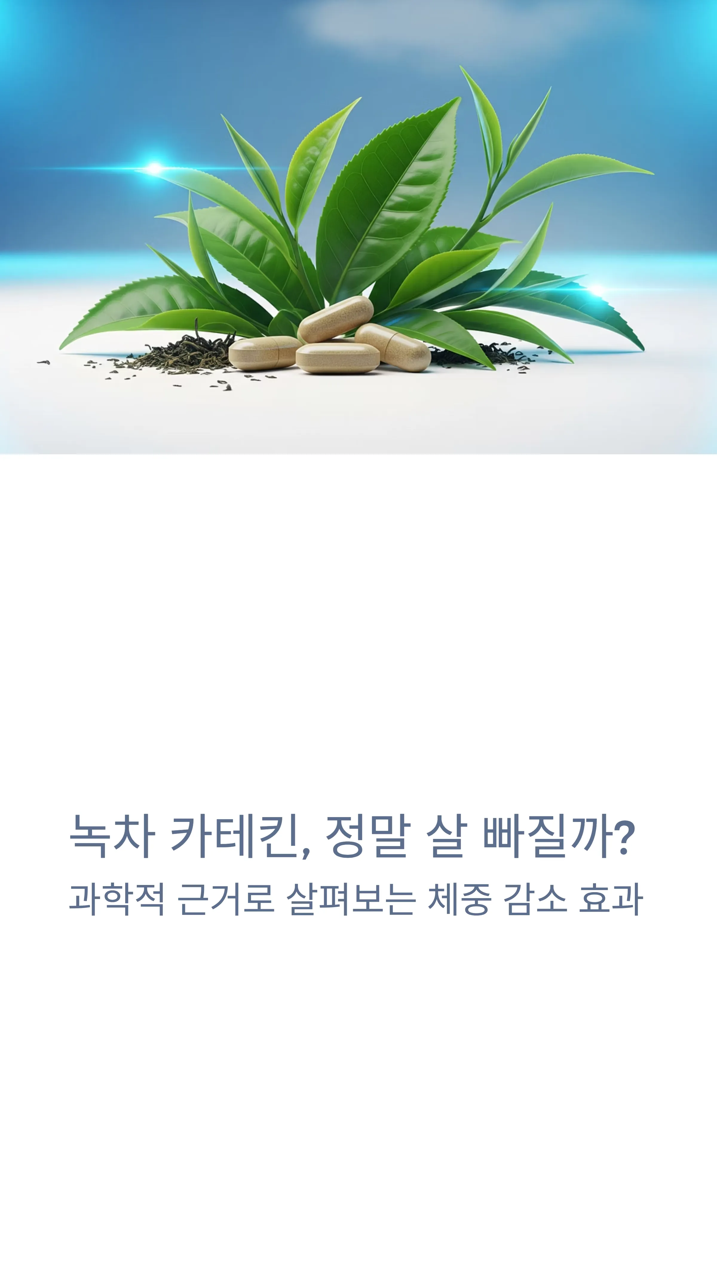 녹차카테킨
