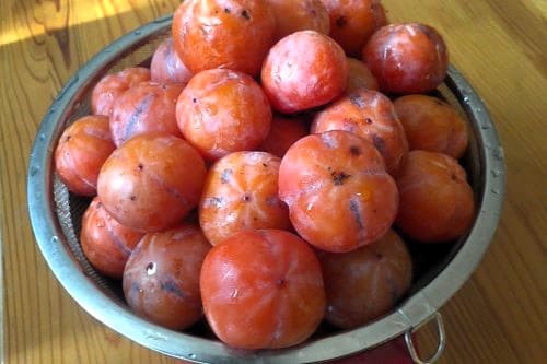 감식초-담그는법-만드는법-알코올발효-초산발효-손질하기-선별하기