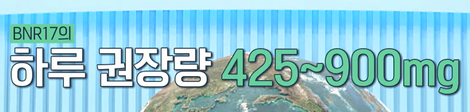 bnr17유산균 복용법