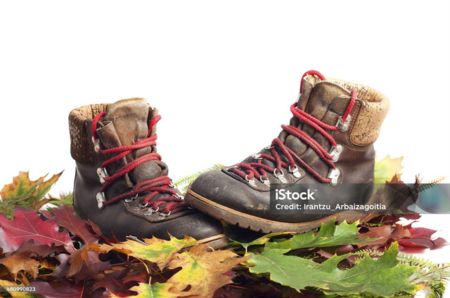 가을 등산화