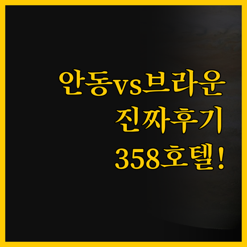 안동 시그너스358호텔 vs 브라운도..