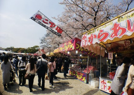 후쿠오카-벚꽃-마이즈루공원