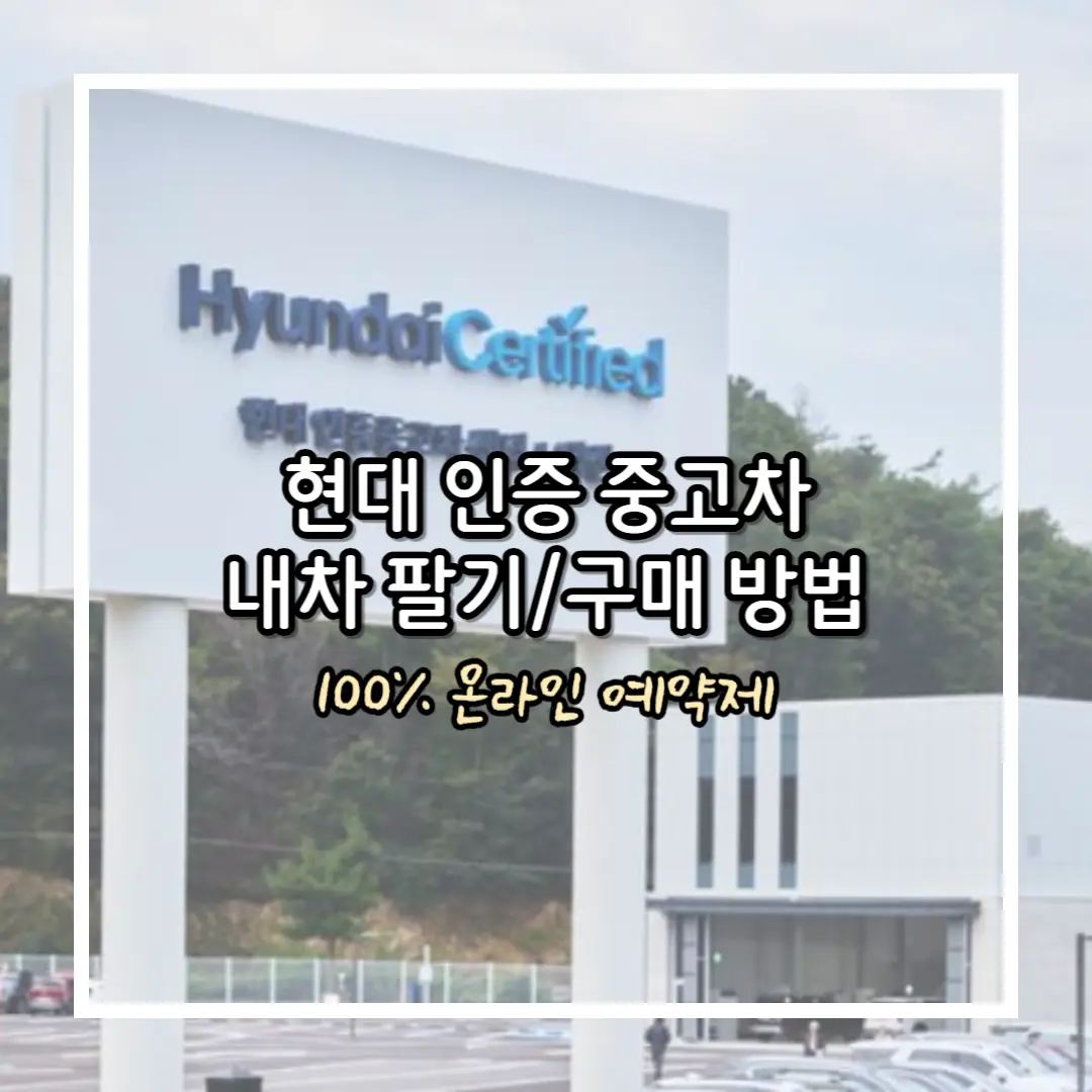 양산센터 사진