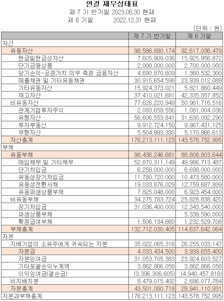 나인테크 - 재무상태표