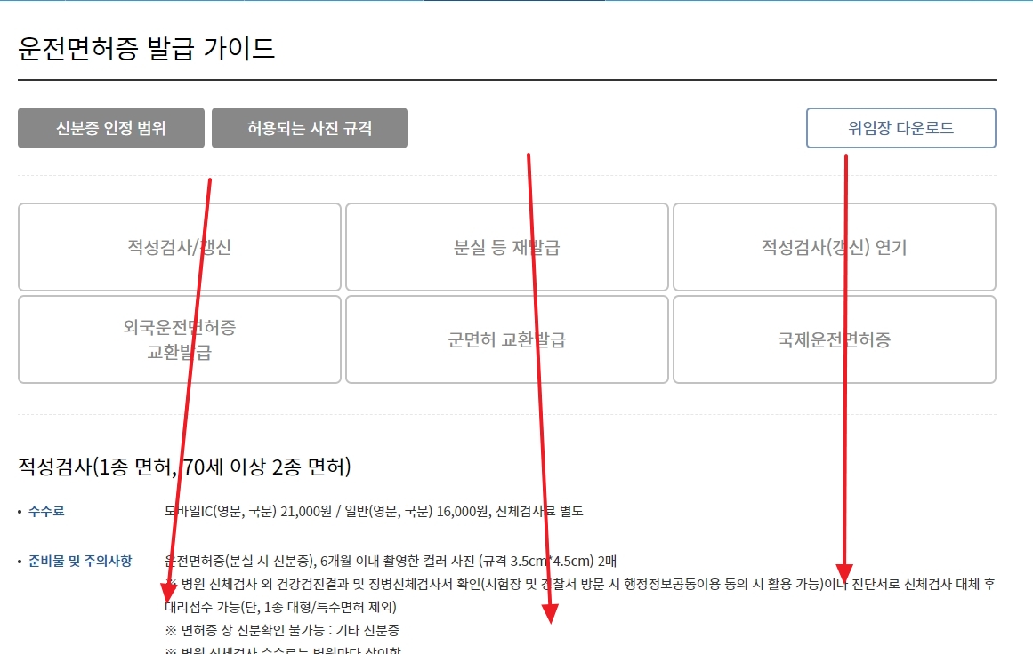 영문 운전면허증 정보를 찾기 위해 웹페이지 화면을 아래로 스크롤하는 모습