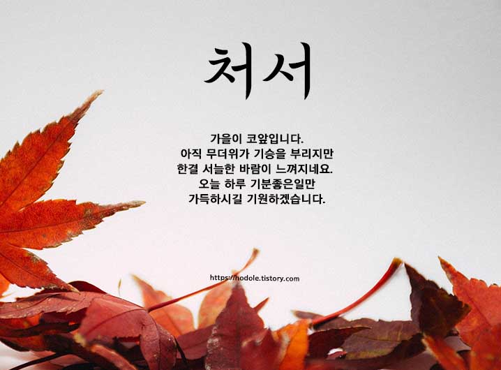 바로앞에있어요