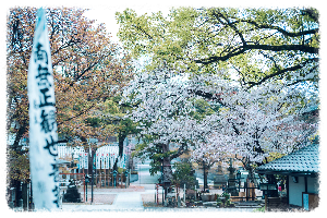 나고야 코쇼지 절