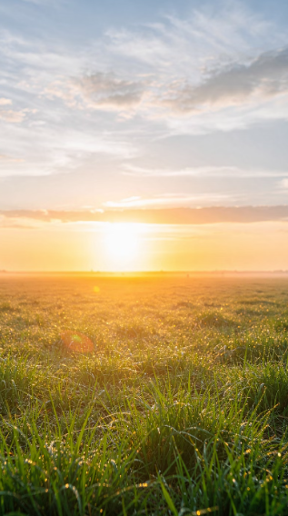 간수치 내리는 방법