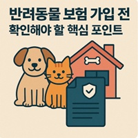 반려동물 보험 체크