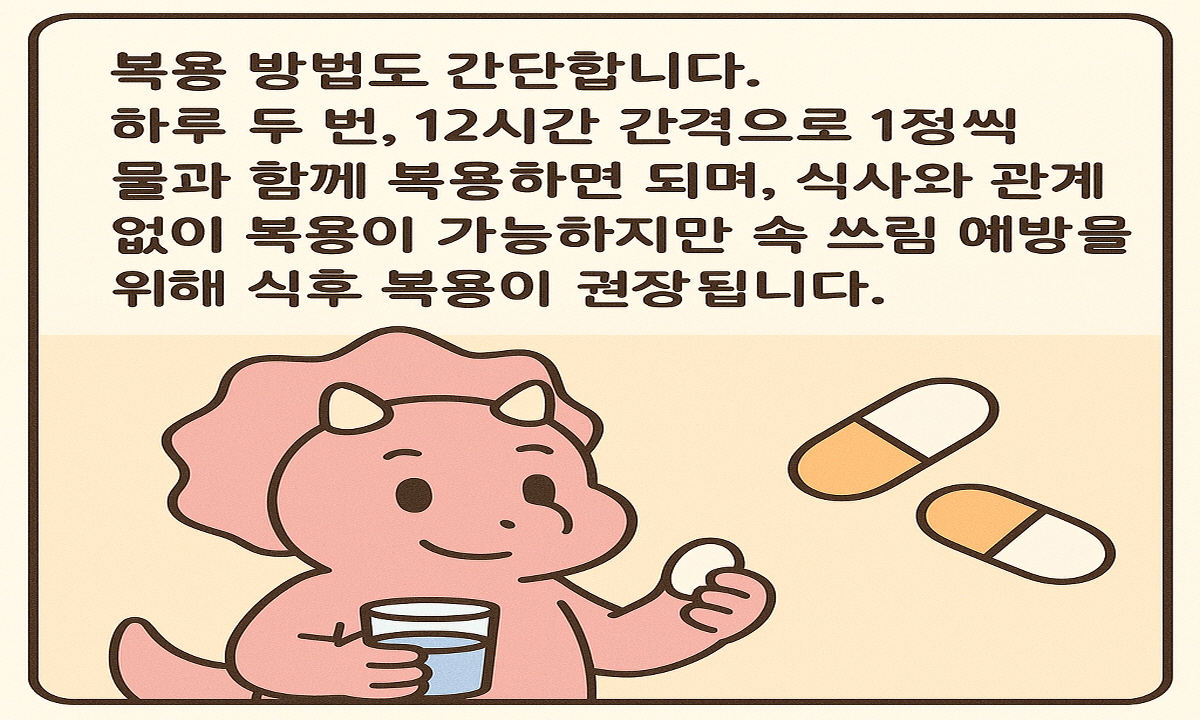 비모보정 500/20mg 관절염 통증과 위장 보호, 동시에 해결 3