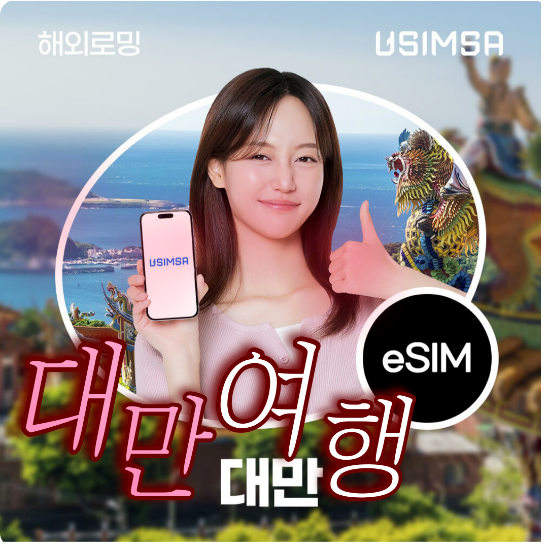 대만 여행 eSIM