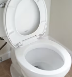 변비에 좋은 음식 해결방법 운동