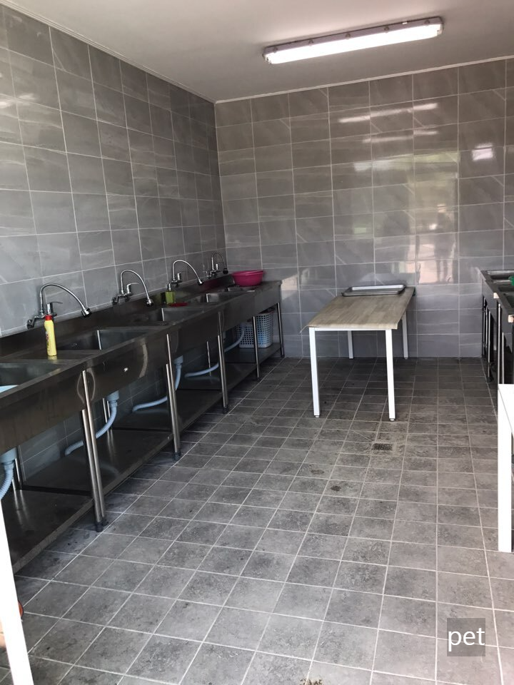 경기-연천-캠핑브릿지캠핑장-예약-방법-애견-동반-가격-주소-시간-후기