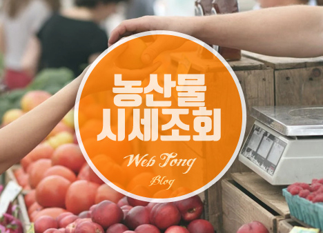 농산물 시세 조회