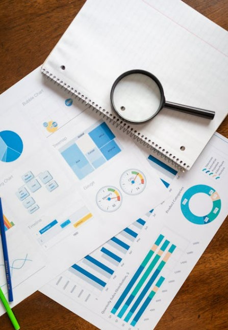 이뮨온시아 주식, 지금이 매수 타이밍일까 임상현황부터 투자리스크까지 정밀 분석