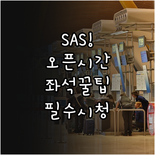 SAS 온라인 체크인 오픈 시간 맞춰..