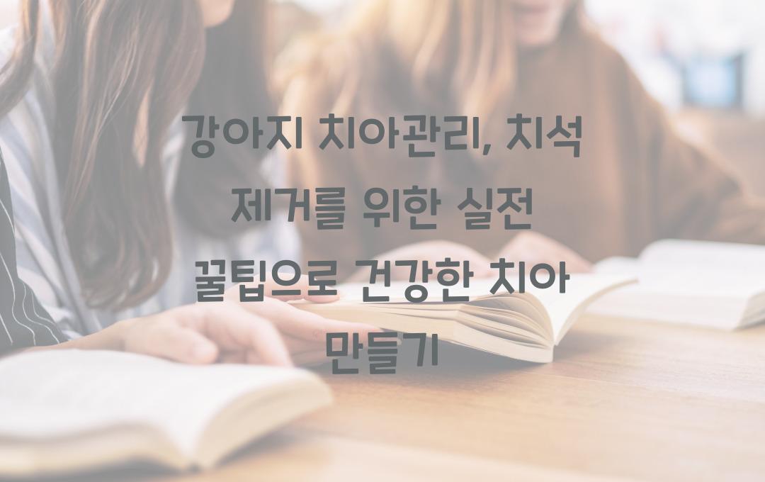 강아지 치아관리, 치석 제거를 위한 실전 꿀팁