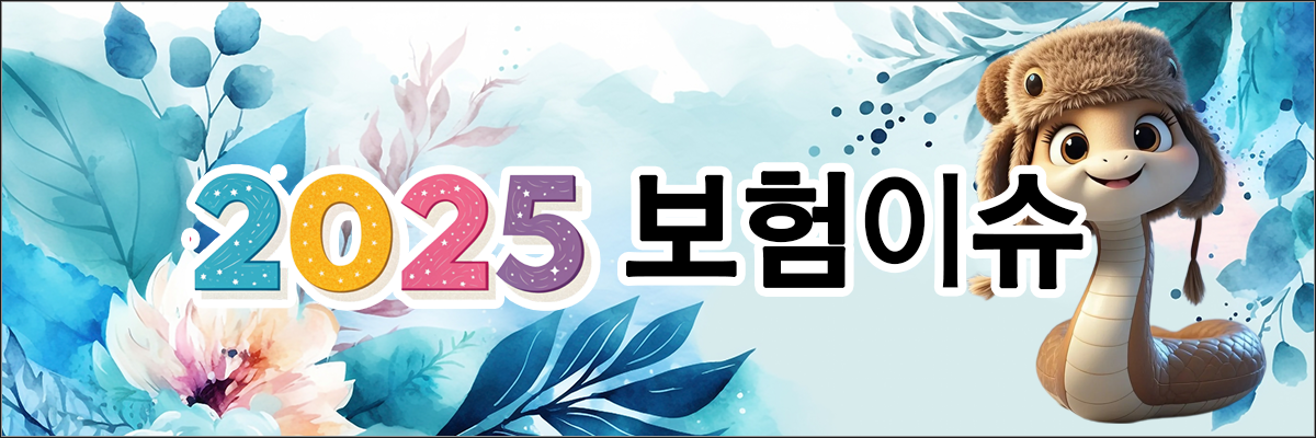 2025보험이슈