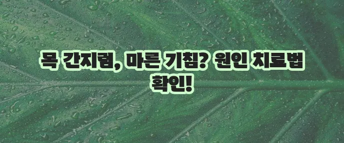목 간지러움 원인과 마른 기침 이유 4가지 확실히 알아보고 치료하자!