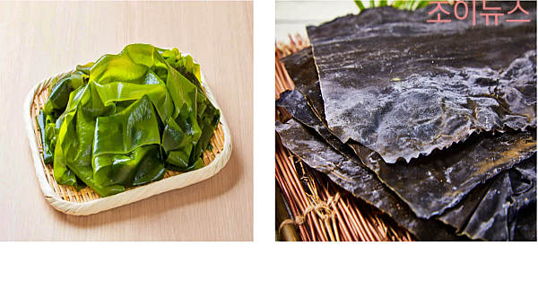 탈모에 좋은 음식, 해조류