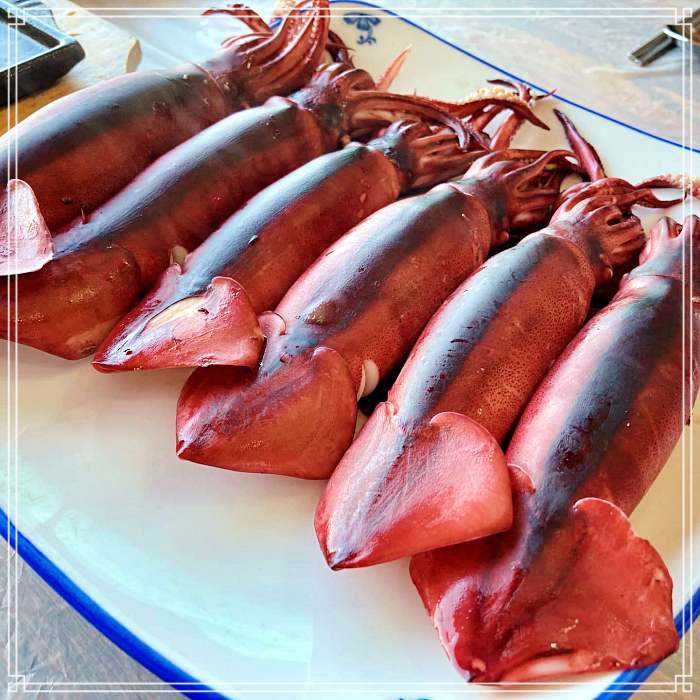 MBN 생생정보 마당 거제, 거제도 선장님이 직접 잡은 제철 보리 오징어 요리 한상 맛집