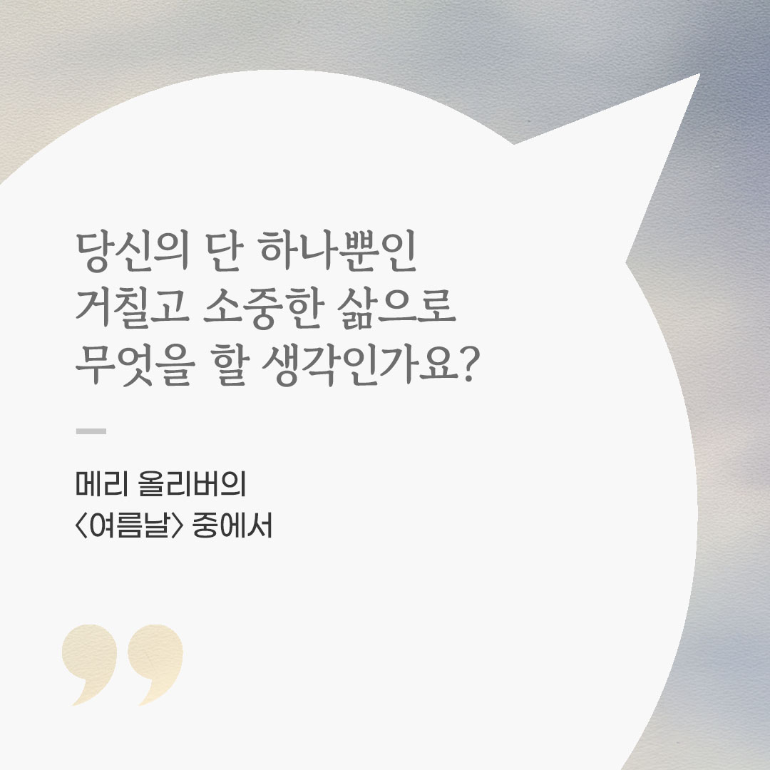 당신의 단 하나뿐인 거칠고 소중한 삶으로 무엇을 할 생각인가요? (메리 올리버의 〈여름날〉 중에서)
