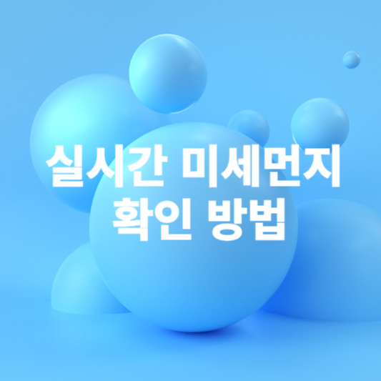 실시간 미세먼지 확인 방법