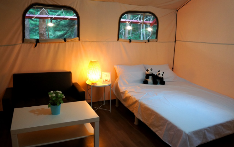 속초 밤하늘글램핑