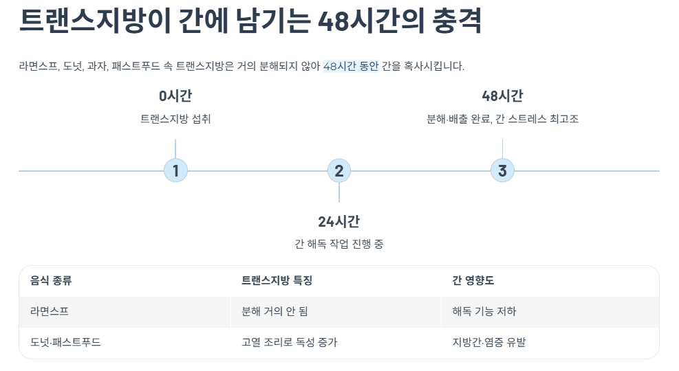 트랜스지방이 간에 남기는 48시간의 충격