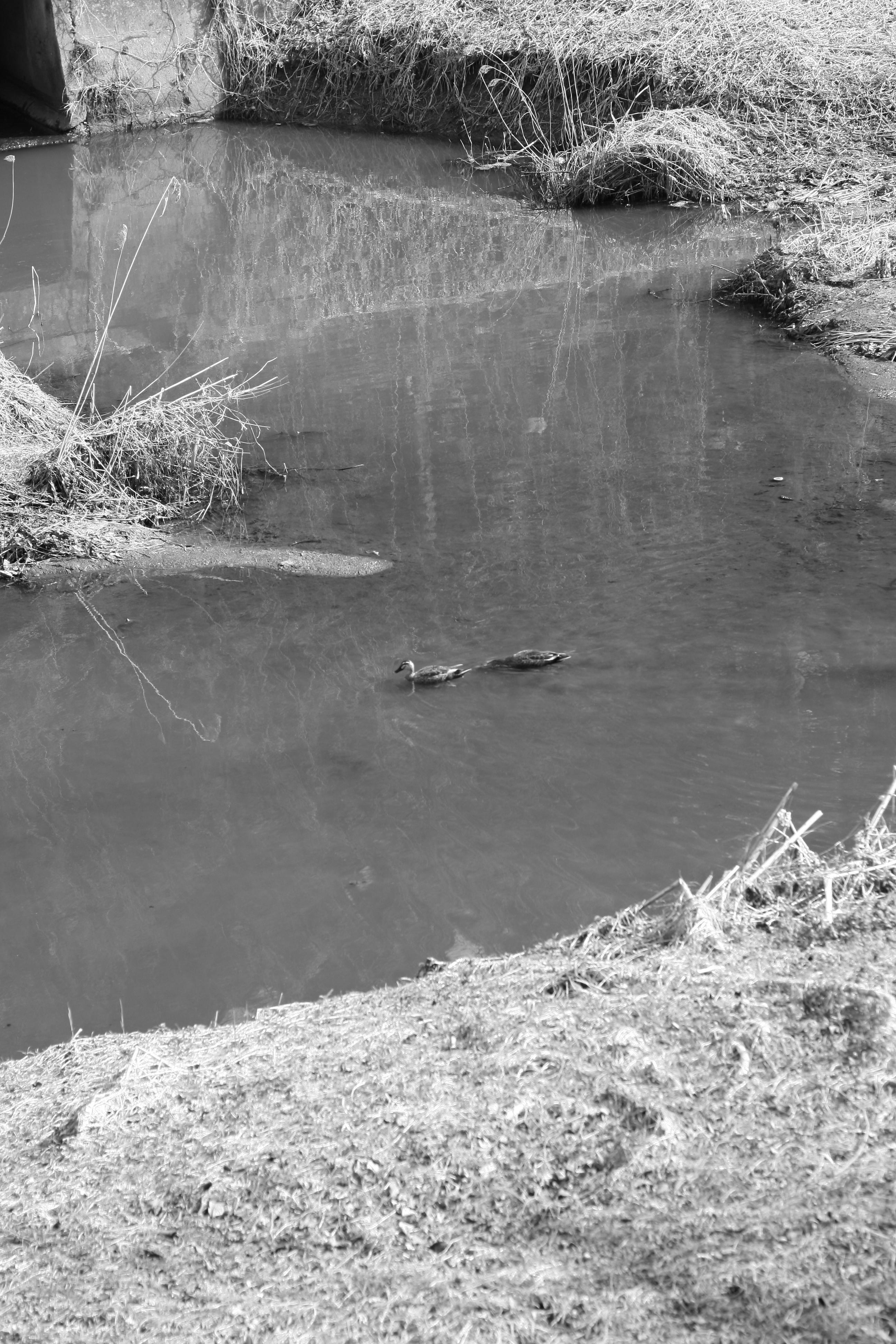 케논 400D 어떤 렌즈가 있을까?