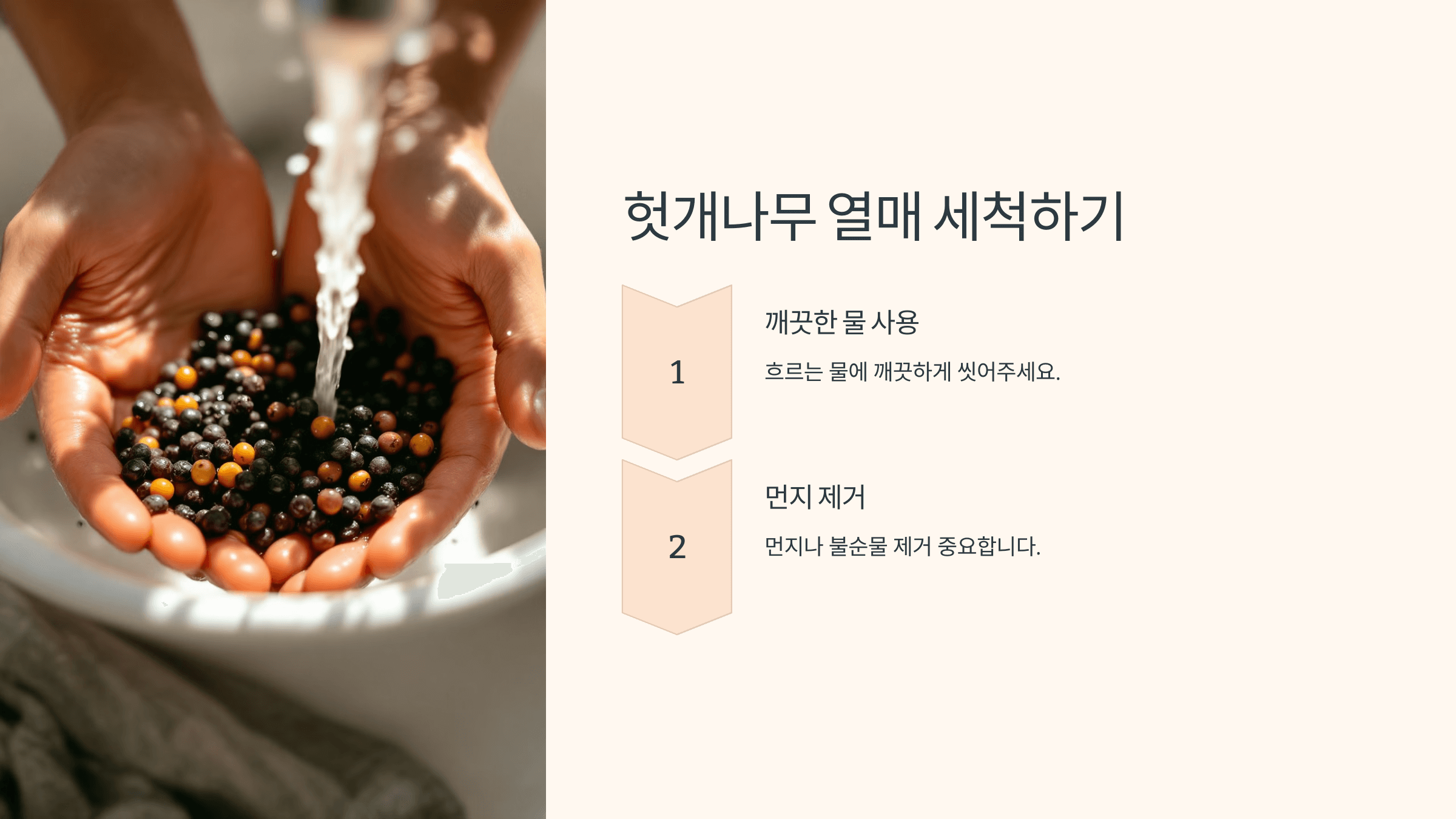 헛개나무 열매와 관련된 사진입니다.