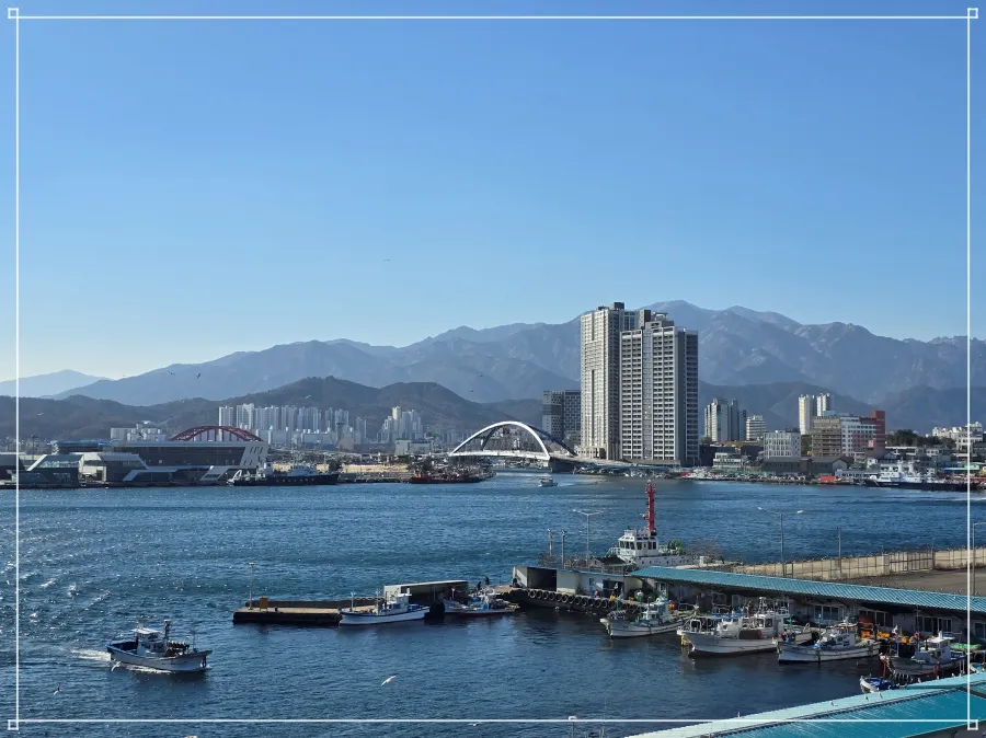 속초-영금정-속초시내뷰