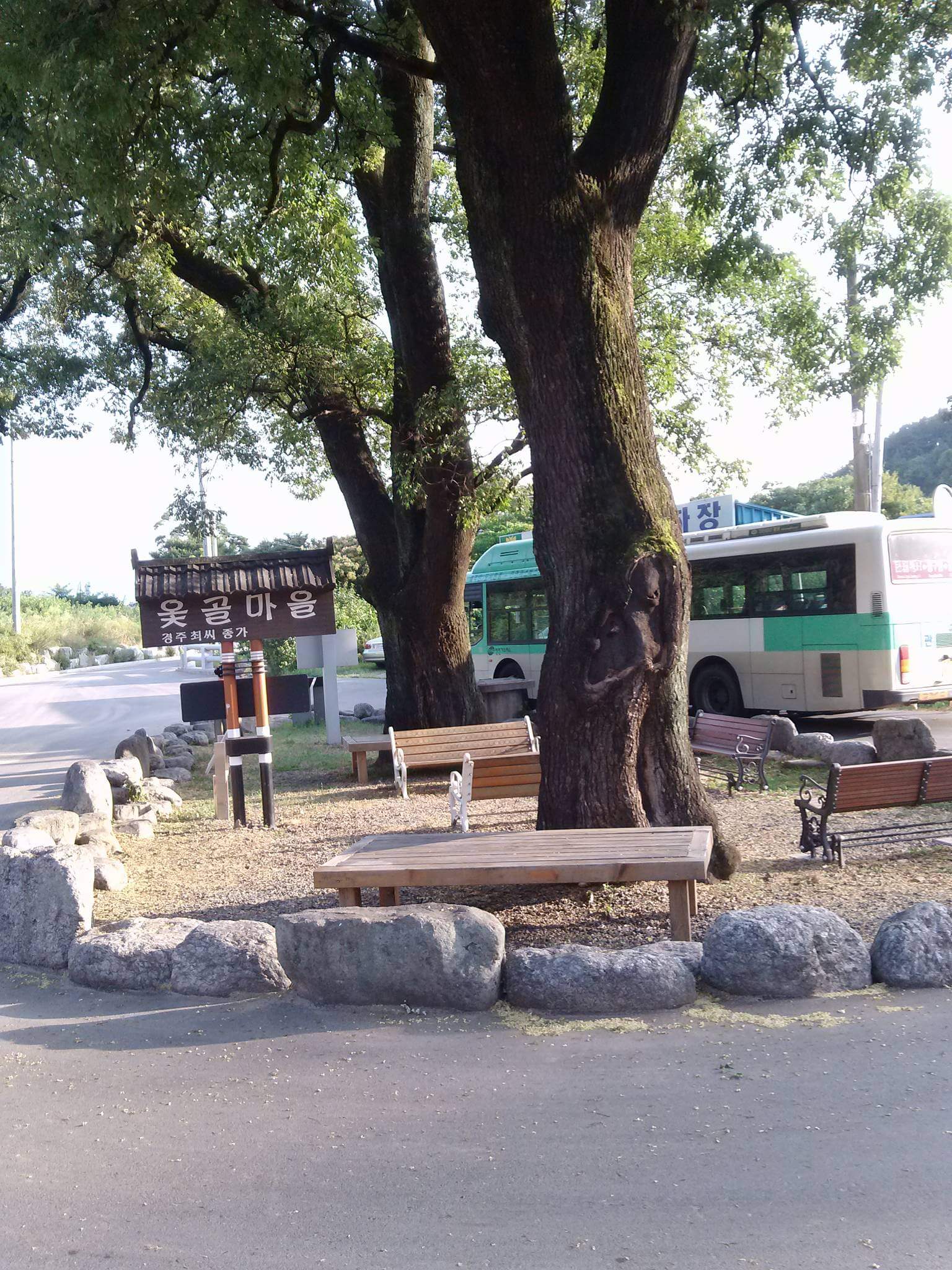 대구 옻골마을 입구 전경. 기와지붕 모양의 '옻골마을 경주최씨 종가' 안내 표지판이 오래된 느티나무 두 그루 아래에 서 있으며, 나무 그늘 아래 나무 벤치와 평상이 놓여 있고 큰 돌로 경계가 둘러져 있다. 뒤편으로 버스가 지나가고 있다.