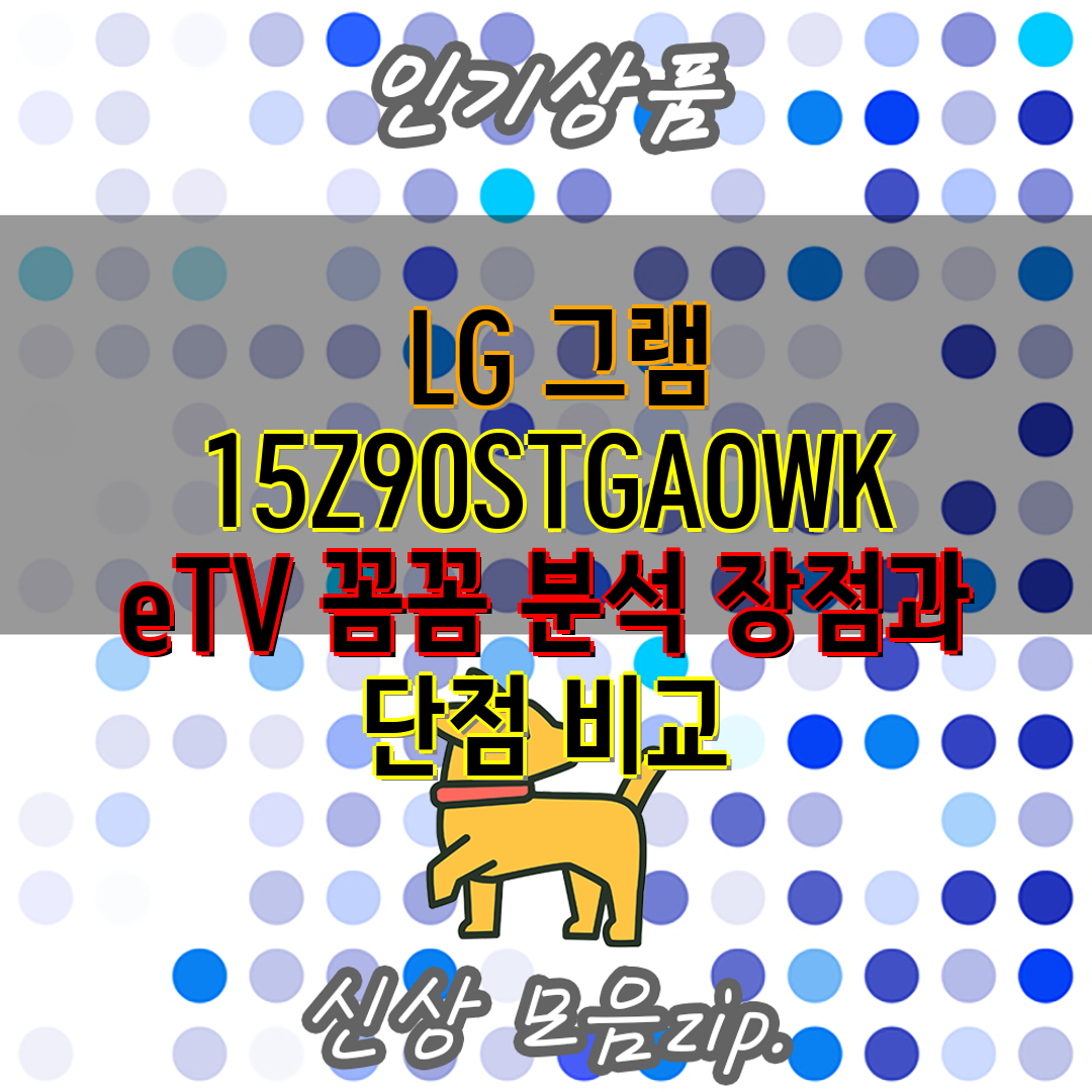  LG 그램 15Z90STGAOWK eTV 꼼꼼 분석 