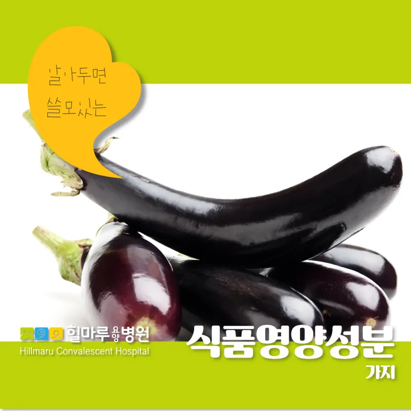 가지 효능 혈압 당뇨 관리 도움 정보_7