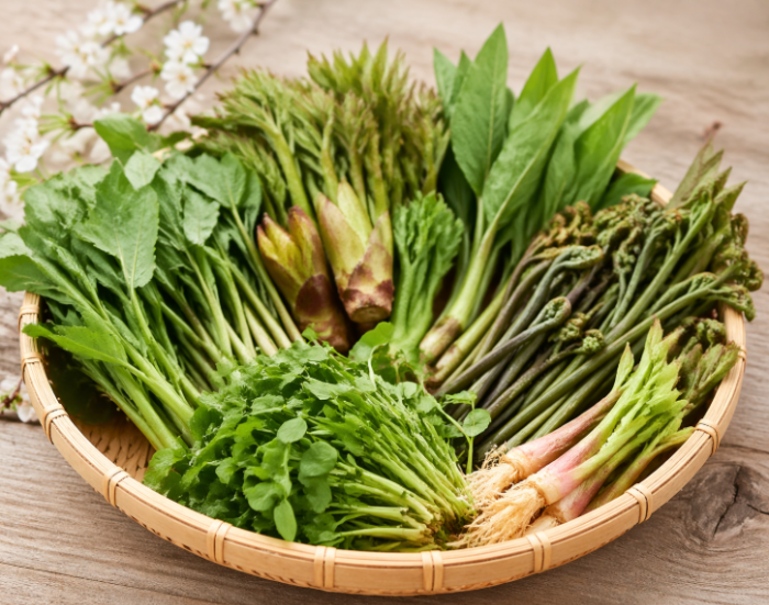 면역력에 좋은 봄나물, 두릅과 냉이 쑥 등 신선한 채소 이미지