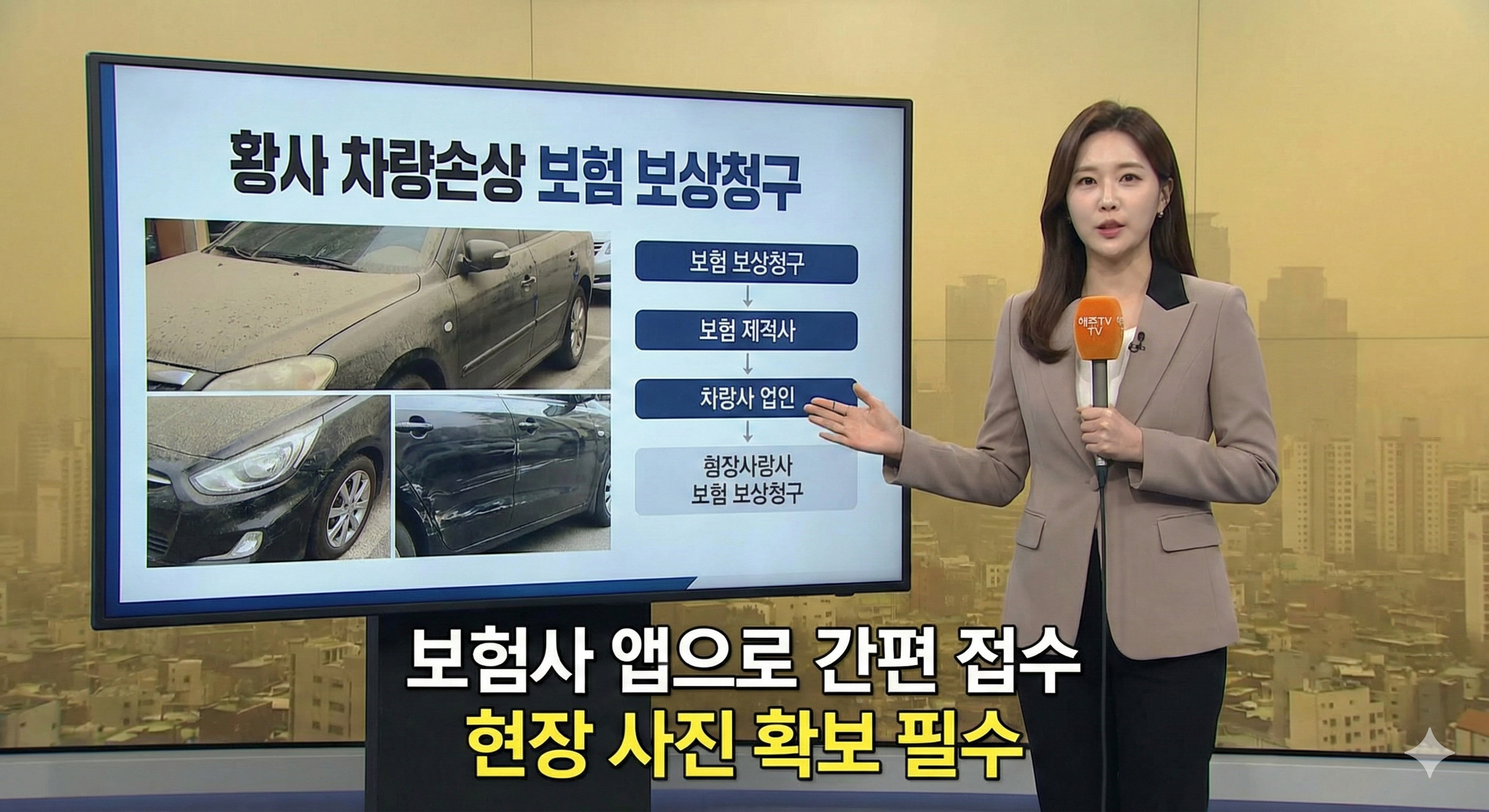 황사 차량손상 보험 보상청구