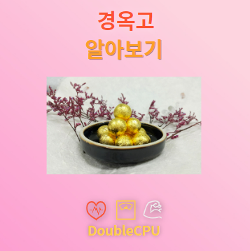 경옥고 탐구