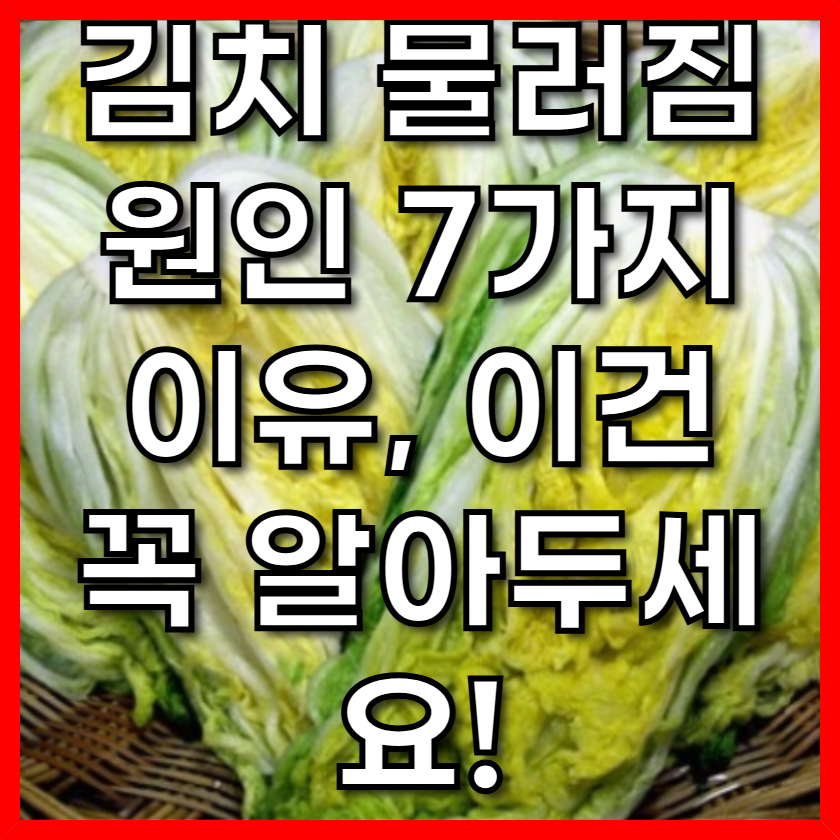 김치 물러짐 원인 7가지이유, 이건 꼭 알아두세요!
